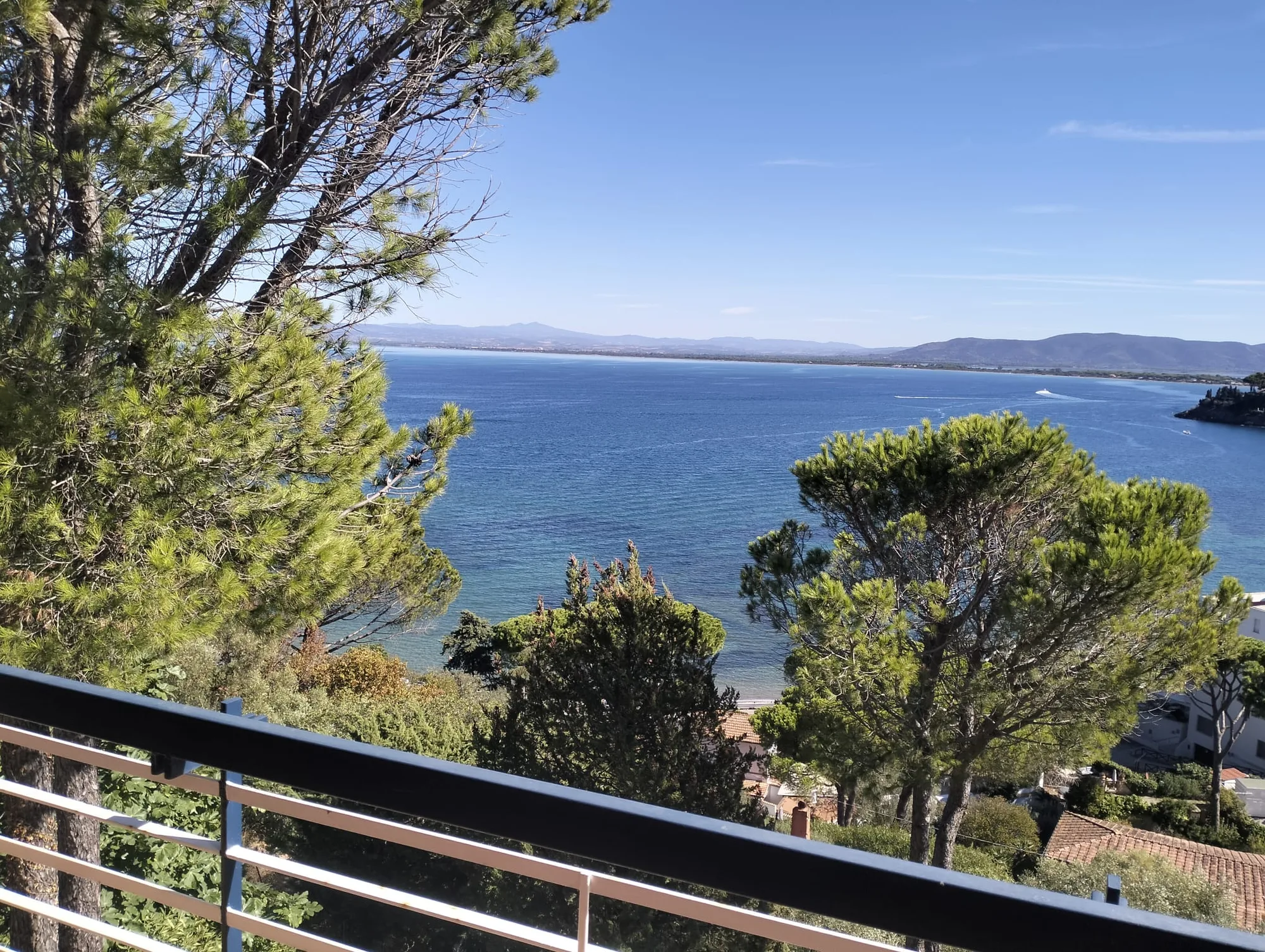 Panorama sul mare tra i pini dal balcone di un cliente