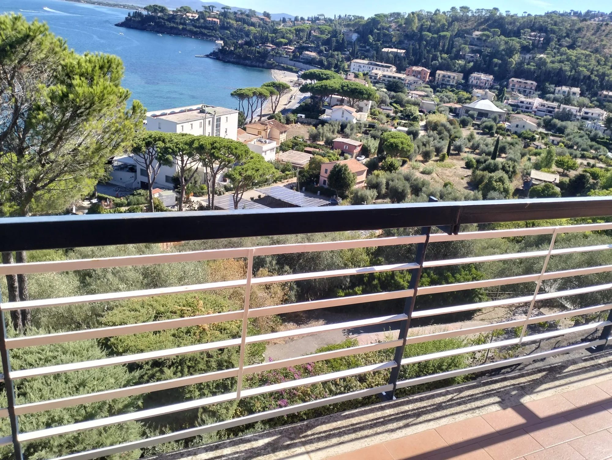 Vista dal terrazzo di un'abitazione servita, con pini marittimi e il golfo sotto
